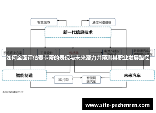 如何全面评估麦卡蒂的表现与未来潜力并预测其职业发展路径