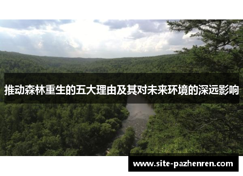 推动森林重生的五大理由及其对未来环境的深远影响 推动森林重生的五大理由及其对未来环境的深远影响