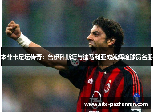 本菲卡足坛传奇:鲁伊科斯塔与迪马利亚成就辉煌球员名册 本菲卡足坛传奇:鲁伊科斯塔与迪马利亚成就辉煌球员名册