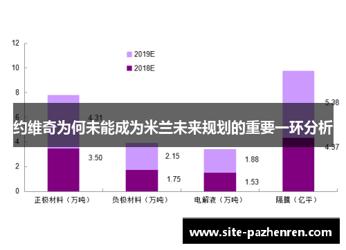 约维奇为何未能成为米兰未来规划的重要一环分析