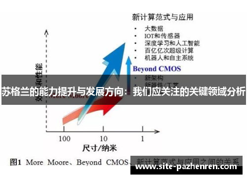 苏格兰的能力提升与发展方向：我们应关注的关键领域分析