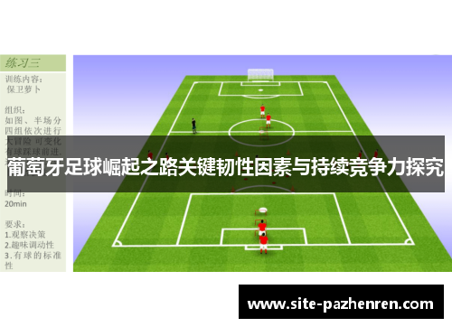 葡萄牙足球崛起之路关键韧性因素与持续竞争力探究 葡萄牙足球崛起之路关键韧性因素与持续竞争力探究
