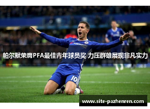 帕尔默荣膺PFA最佳青年球员奖 力压群雄展现非凡实力